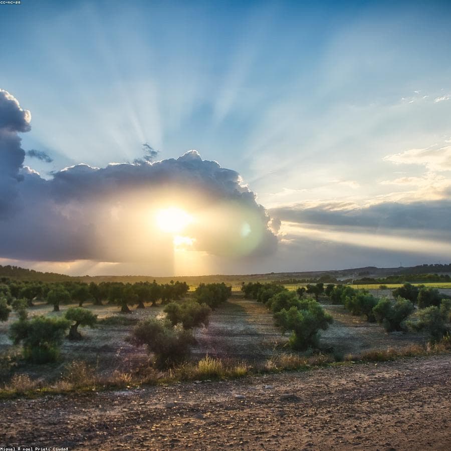 لامپ LED ۱۲ وات بسته ۶ عددی