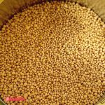 پودر مخمر نانوایی ساف لوور SAF LEVURE - تصویر 3