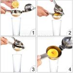 آبلیمو گیر دستی استیل - تصویر 6