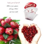 انار دون کن دستی پارسینا - تصویر 4