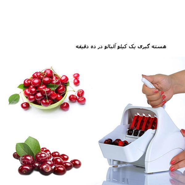 دستگاه هسته گیر آلبالو دستی بوژان اصل BOJAN_60cb433972ab6.jpeg دستگاه هسته گیر آلبالو دستی بوژان اصل BOJAN - Image 4