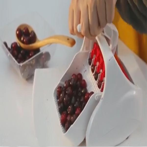 دستگاه هسته گیر آلبالو دستی بوژان اصل BOJAN_60cb433bcf4b2.jpeg دستگاه هسته گیر آلبالو دستی بوژان اصل BOJAN - Image 7