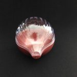 ظرف نگهدارنده پیاز