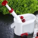 هسته گیر آلبالو