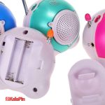 رادیو مایسان - تصویر 3