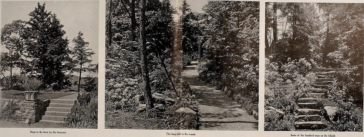 عطر جیبی و ادکلن