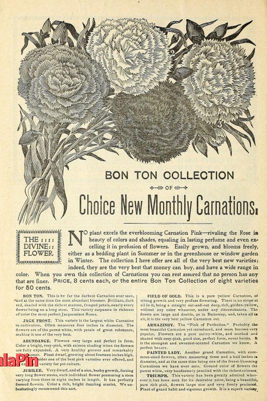 تجربه‌های مشتریان و نظرات